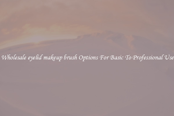 Wholesale eyelid makeup brush Options For Basic To Professional Use