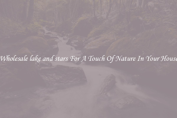 Wholesale lake and stars For A Touch Of Nature In Your House