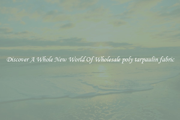 Discover A Whole New World Of Wholesale poly tarpaulin fabric