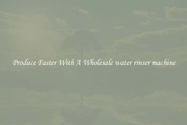 Produce Faster With A Wholesale water rinser machine