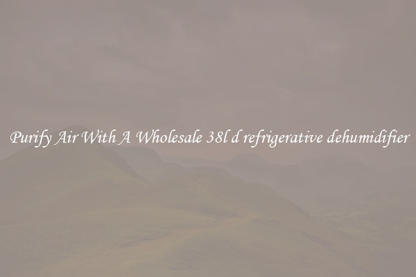 Purify Air With A Wholesale 38l d refrigerative dehumidifier