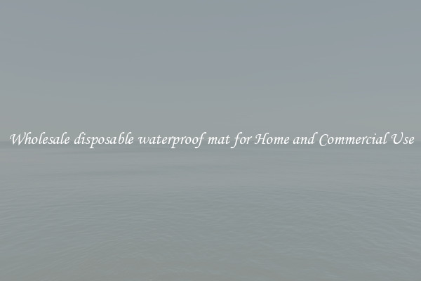 Wholesale disposable waterproof mat for Home and Commercial Use