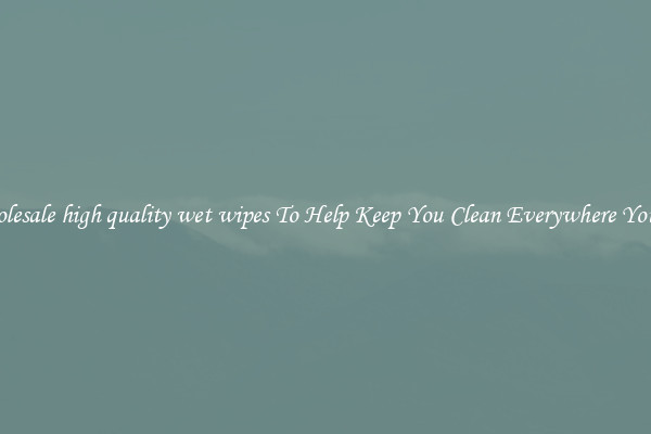 Wholesale high quality wet wipes To Help Keep You Clean Everywhere You Go