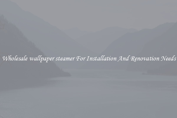 Wholesale wallpaper steamer For Installation And Renovation Needs