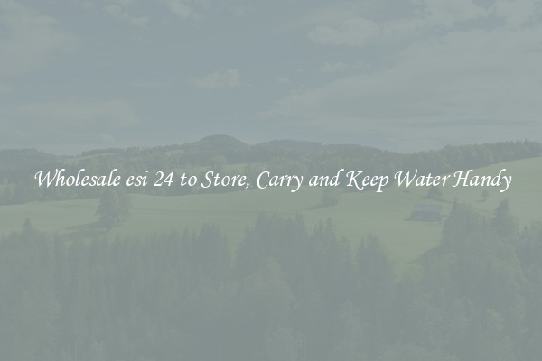 Wholesale esi 24 to Store, Carry and Keep Water Handy