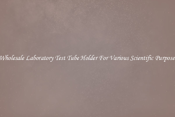 Wholesale Laboratory Test Tube Holder For Various Scientific Purposes