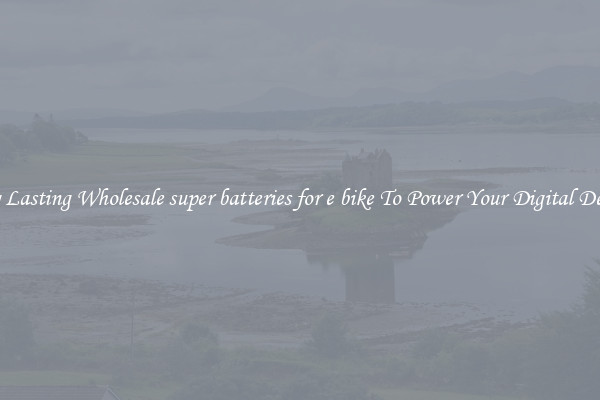 Long Lasting Wholesale super batteries for e bike To Power Your Digital Devices
