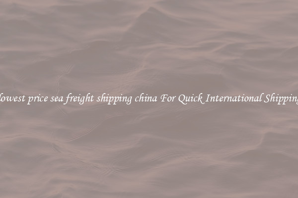 lowest price sea freight shipping china For Quick International Shipping