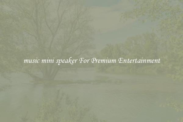 music mini speaker For Premium Entertainment