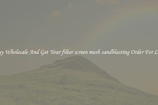 Buy Wholesale And Get Your filter screen mesh sandblasting Order For Less