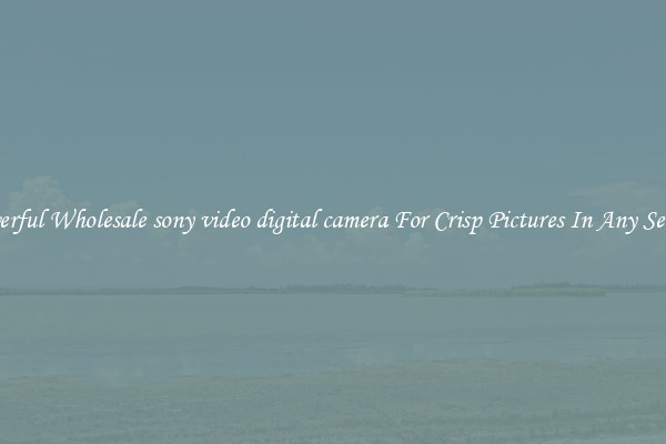 Powerful Wholesale sony video digital camera For Crisp Pictures In Any Setting