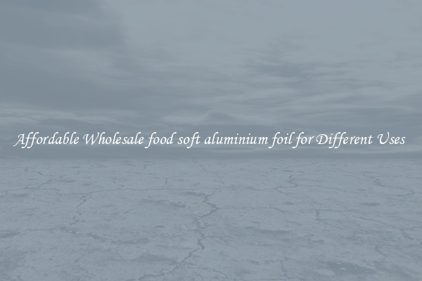 Affordable Wholesale food soft aluminium foil for Different Uses 