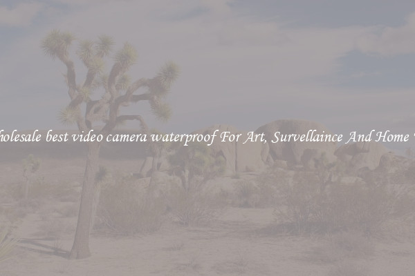 Wholesale best video camera waterproof For Art, Survellaince And Home Use