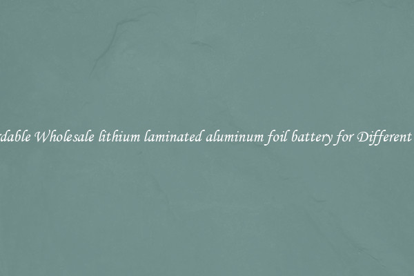 Affordable Wholesale lithium laminated aluminum foil battery for Different Uses 