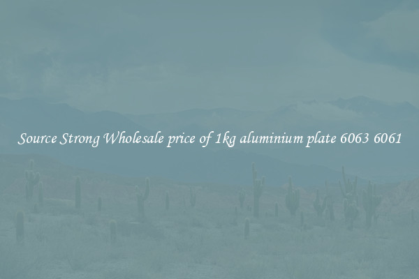 Source Strong Wholesale price of 1kg aluminium plate 6063 6061