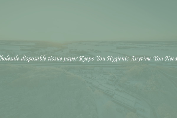 Wholesale disposable tissue paper Keeps You Hygienic Anytime You Need It