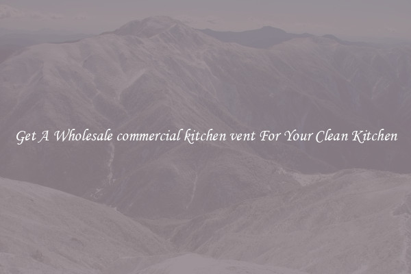 Get A Wholesale commercial kitchen vent For Your Clean Kitchen