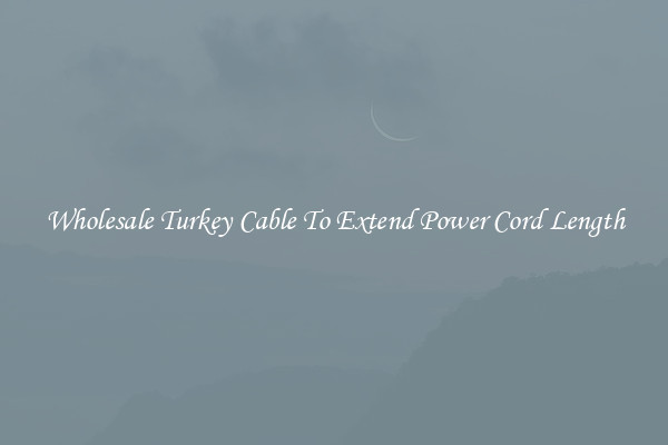 Wholesale Turkey Cable To Extend Power Cord Length