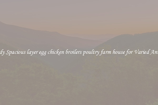 Sturdy Spacious layer egg chicken broilers poultry farm house for Varied Animals