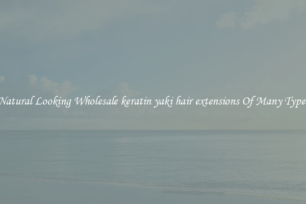 Natural Looking Wholesale keratin yaki hair extensions Of Many Types
