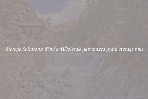 Storage Solutions: Find a Wholesale galvanized grain storage bins